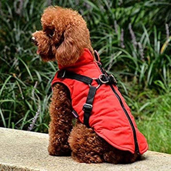 3XL for Small Dog Norbi Warm Jacket - Winter Harness - Cold Weather - Picture 1 of 16